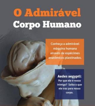 O Admirável Corpo Humano