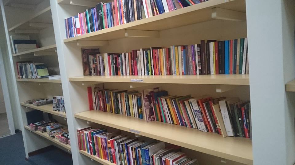 Acervo da biblioteca inclui exemplares sobre a sétima arte (Foto: Divulgação)
