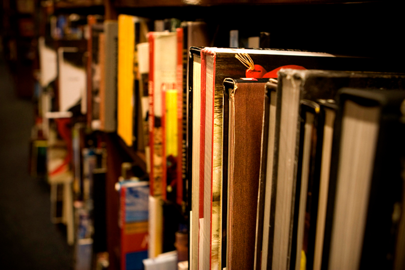 Proposta da Banca Troca de Livros é incentivar a prática da leitura (Foto: EBC)