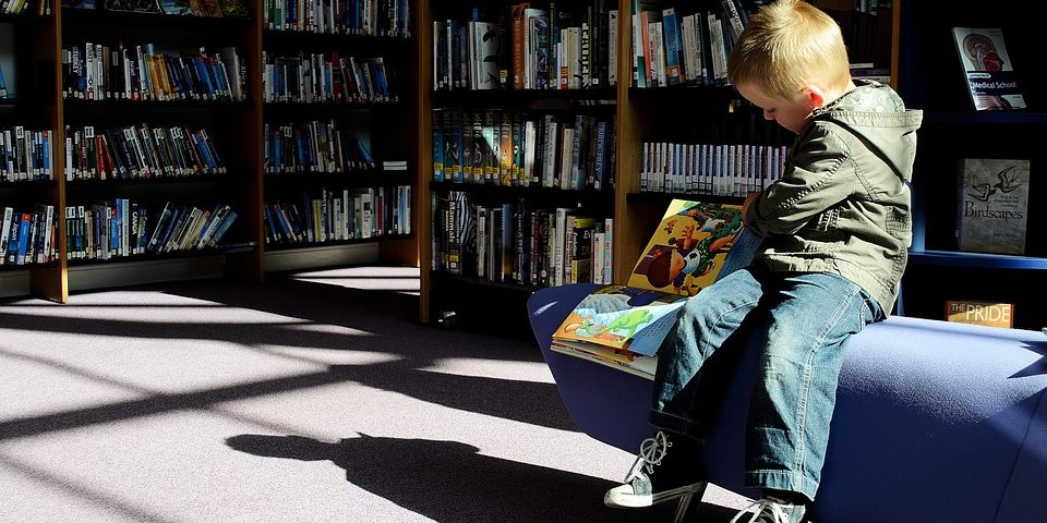 biblioteca escolar